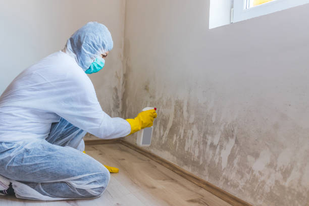 Licensed Commercial Mold Remediation service in Lanham, MD - WQB Mold Removal