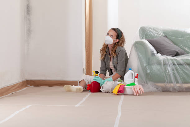 Reliable Commercial Mold Remediation contractor in Lanham, MD by WQB Mold Removal